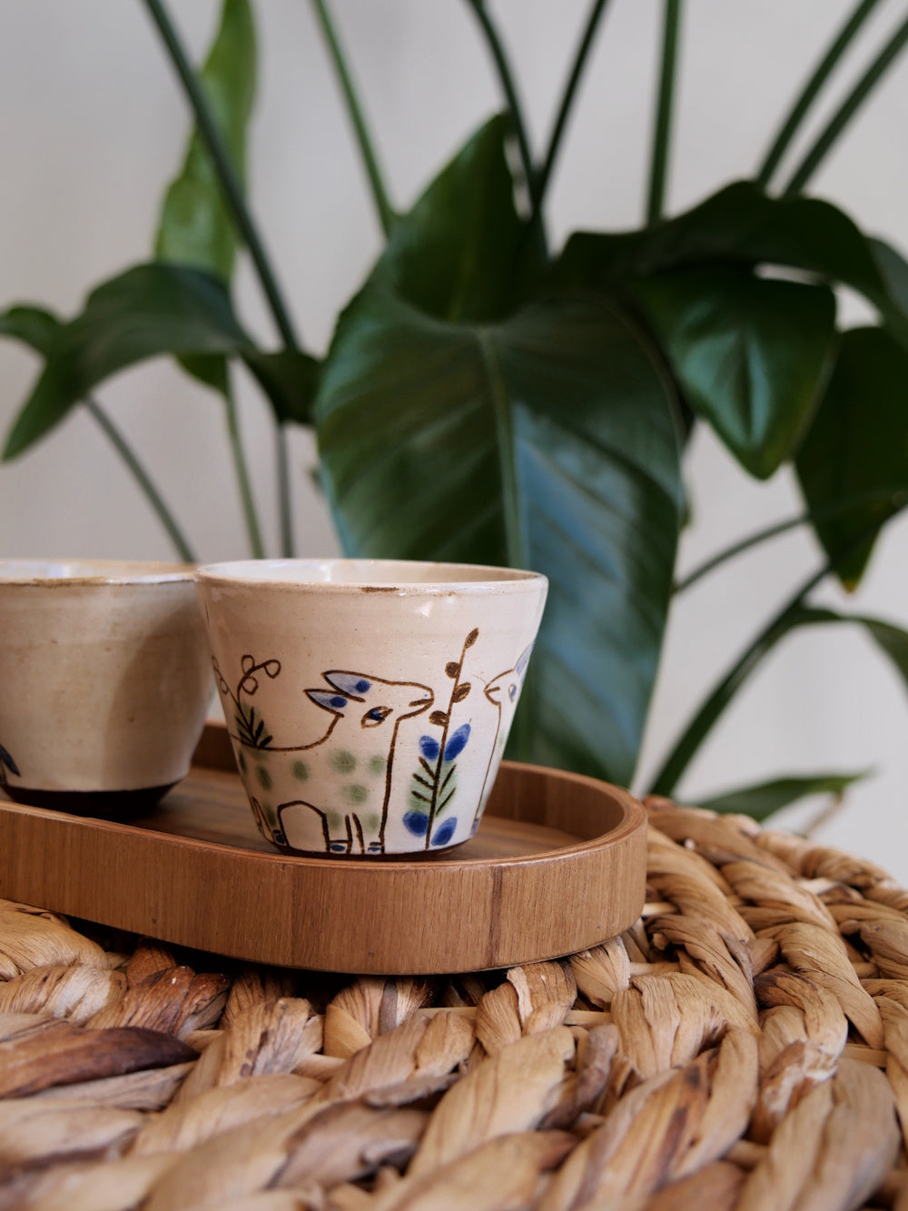 ayurvedische Ernährungsberatung Symbolbild