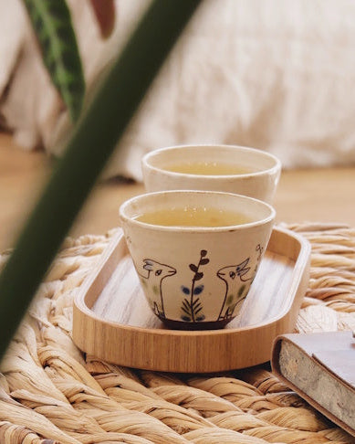 Symbolbild Ayurveda Schweiz Angebote und Preise