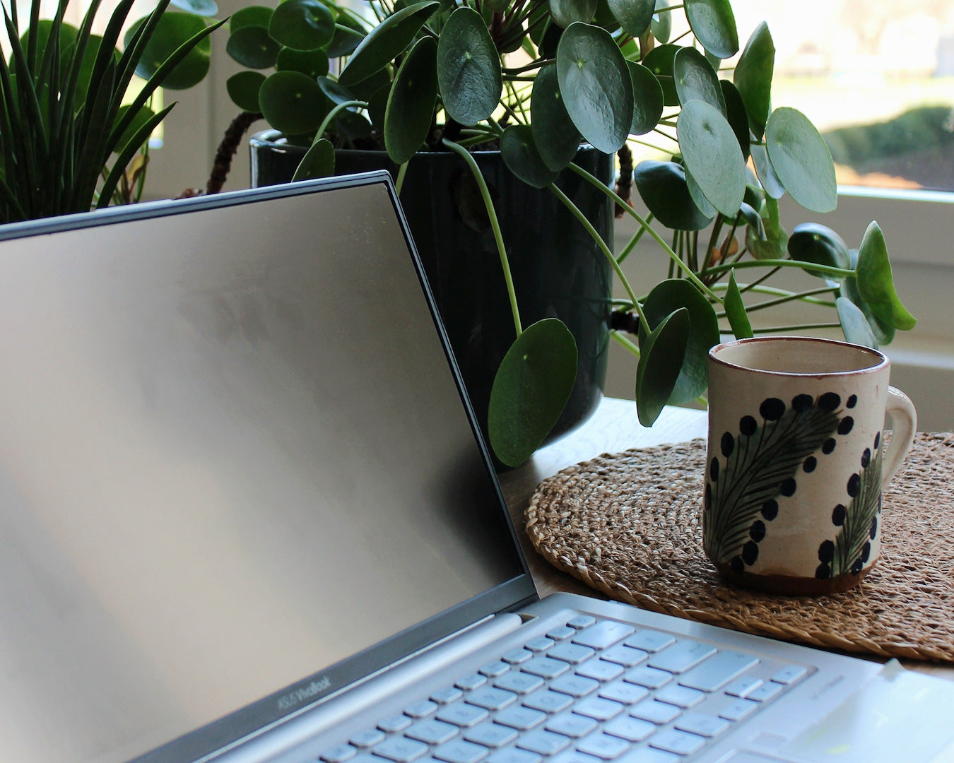 Ayurveda Beratung online Symbolbild Laptop