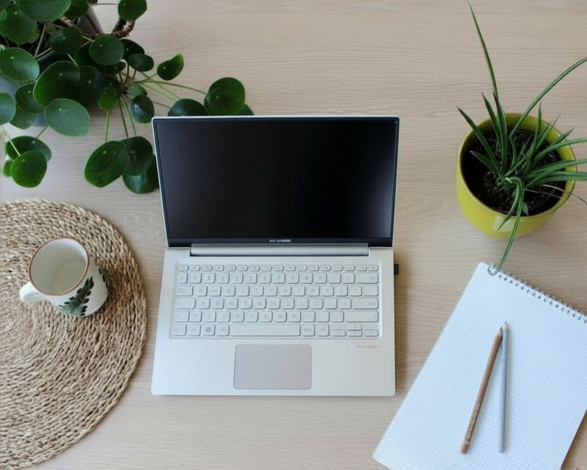 Ayurvedische Online-Beratung Symbolbild Laptop